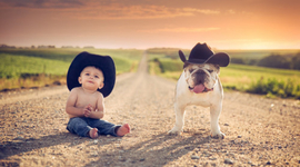 Timeline: Child development (Pregnancy)