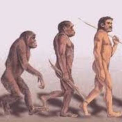 Timeline: LA HOMINIZACIÓN
