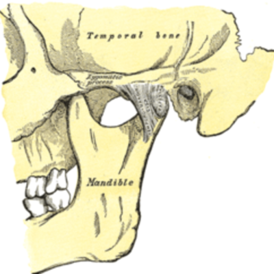Timeline: Transtornos Temporomandibulares