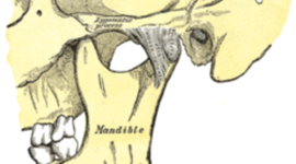 Timeline: Transtornos Temporomandibulares