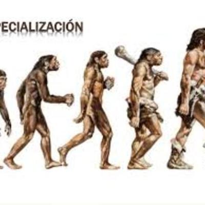 Timeline: Hominización