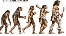 Timeline: Hominización