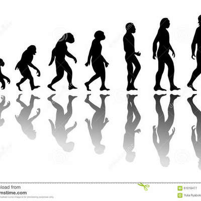 Timeline: Hominización