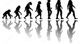 Timeline: Hominización