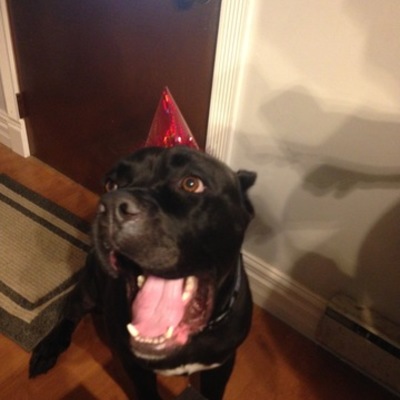 Timeline: Olivia Kelly's History of the Internet