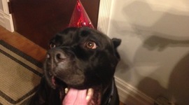 Timeline: Olivia Kelly's History of the Internet