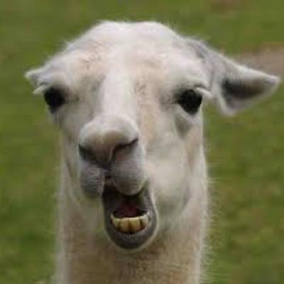 Timeline: mike humenik history of the internet