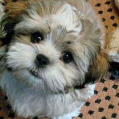 Timeline: Grace's History of the Internet Timeline