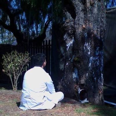 Timeline: Recuerdos no muy importantes 3.5