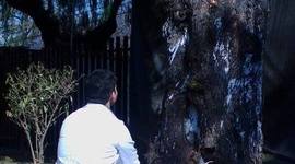 Timeline: Recuerdos no muy importantes 3.5