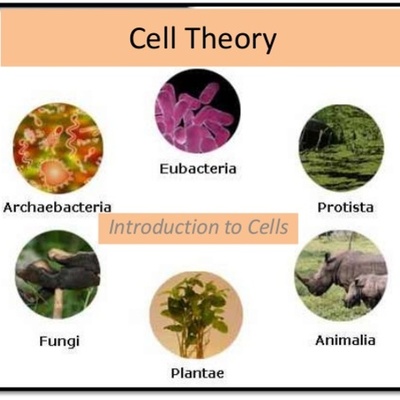 Timeline: The Cell Theory