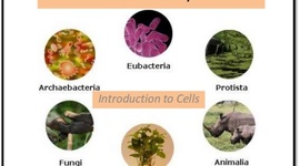 Timeline: The Cell Theory
