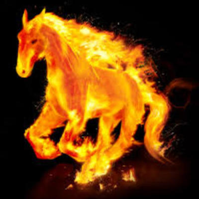 Timeline: Firehorse