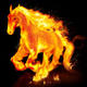 Firehorse