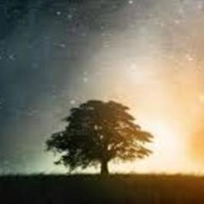 Timeline: Antecedentes del diseño instrucccional