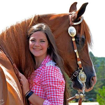 Timeline: Getting into College