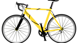 Timeline: The Evolution of The Bike