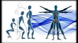 Timeline: Historia de la fisioterapia