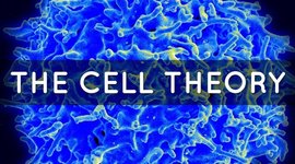 Timeline: The Cell Theory
