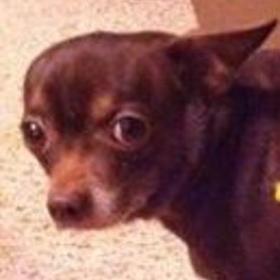 Timeline: Evolución de la Memoria RAM