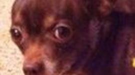 Timeline: Evolución de la Memoria RAM