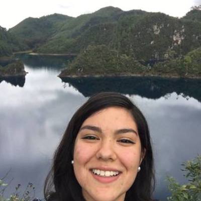 Timeline: Línea del tiempo CVC