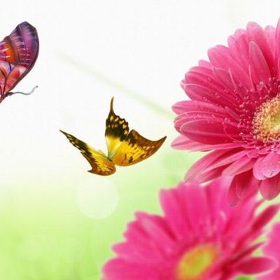 Timeline: On this day, June 30