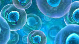 Timeline: Cell Theory Timeline