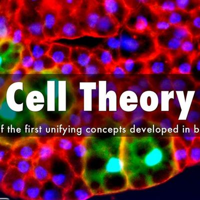 Timeline: Cell Theory Timeline by David Robins