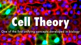 Timeline: Cell Theory Timeline by David Robins