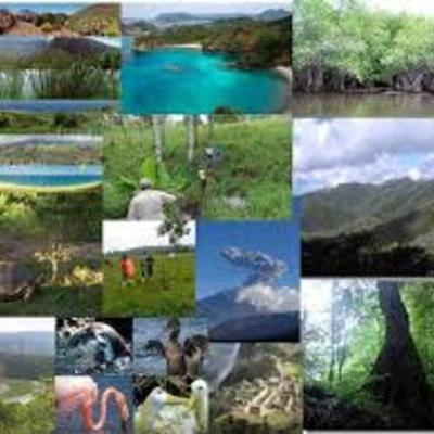 Timeline: Historia de la ecologia