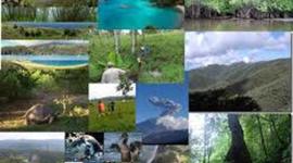 Timeline: Historia de la ecologia