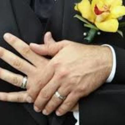 Timeline: Matrimonios Homoparental