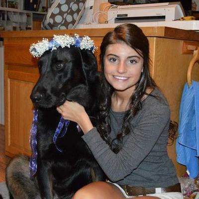 Timeline: A Brief Autobiography of SMA