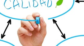 Timeline: Evolución a la calidad