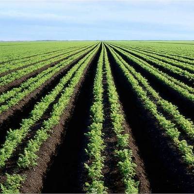 Timeline: Farm Bill History