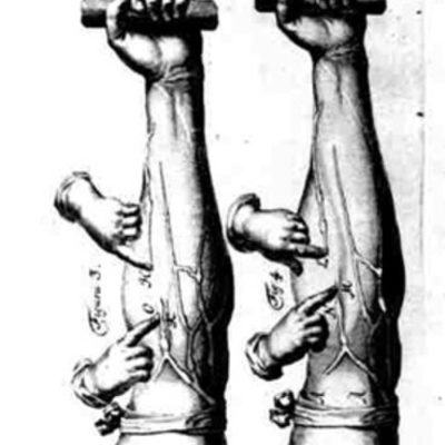 Timeline: PRINCIPALES DESCUBRIMIENTOS DNA