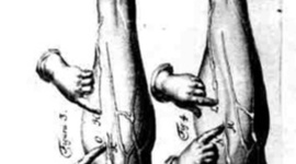 Timeline: PRINCIPALES DESCUBRIMIENTOS DNA