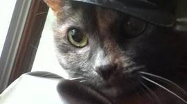 Timeline: History of the Pittsburgh Pirates