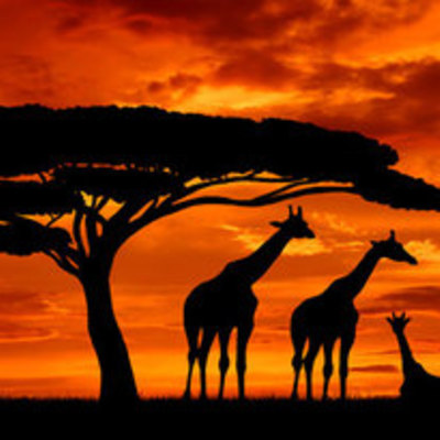 Timeline: Moderne Geschiedenis van Afrika