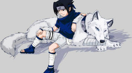 Timeline: william's timeline