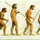 Evolucion del conocimiento 1