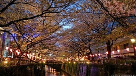 Timeline: History of Japan