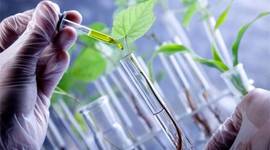 Timeline: HISTORIA DE LA BIOTECNOLOGÍA