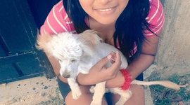 Timeline: mi biografia