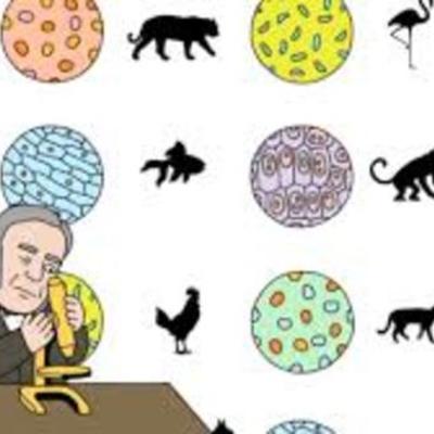 Timeline: Cell Theory by Cale