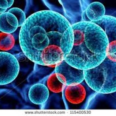 Timeline: wildflame's cell theory