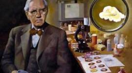 Timeline: penicilina