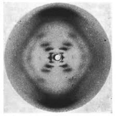 Timeline: Scientists Timeline