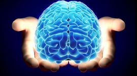 Timeline: UNIDAD 2. De la Fisiología Nerviosa a la Tradición de Pasamiento Psicobiológico